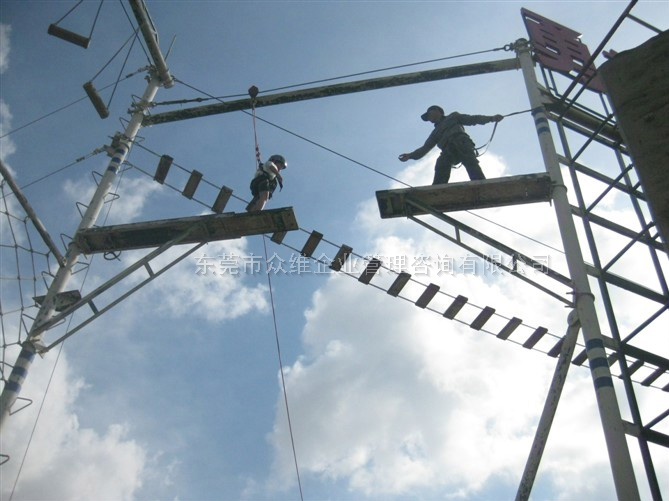 東莞青少年訓(xùn)練營(yíng)-挑戰(zhàn)高空