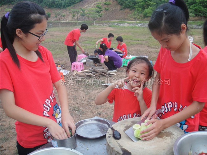 東莞青少年訓(xùn)練營(yíng)-野炊